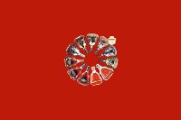 杨陵区回收红酒